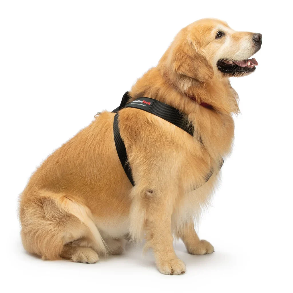 Pet Safety Harness