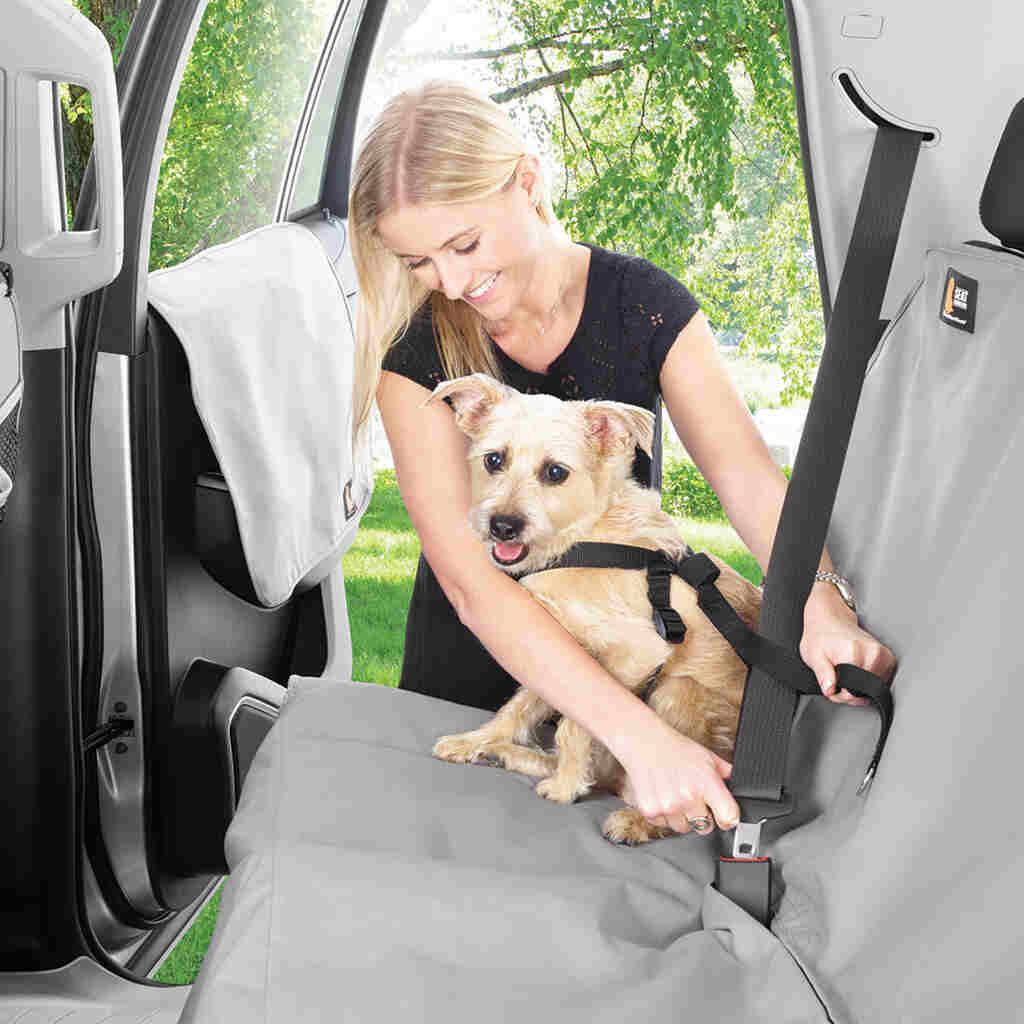 Pet Safety Harness - Image 2